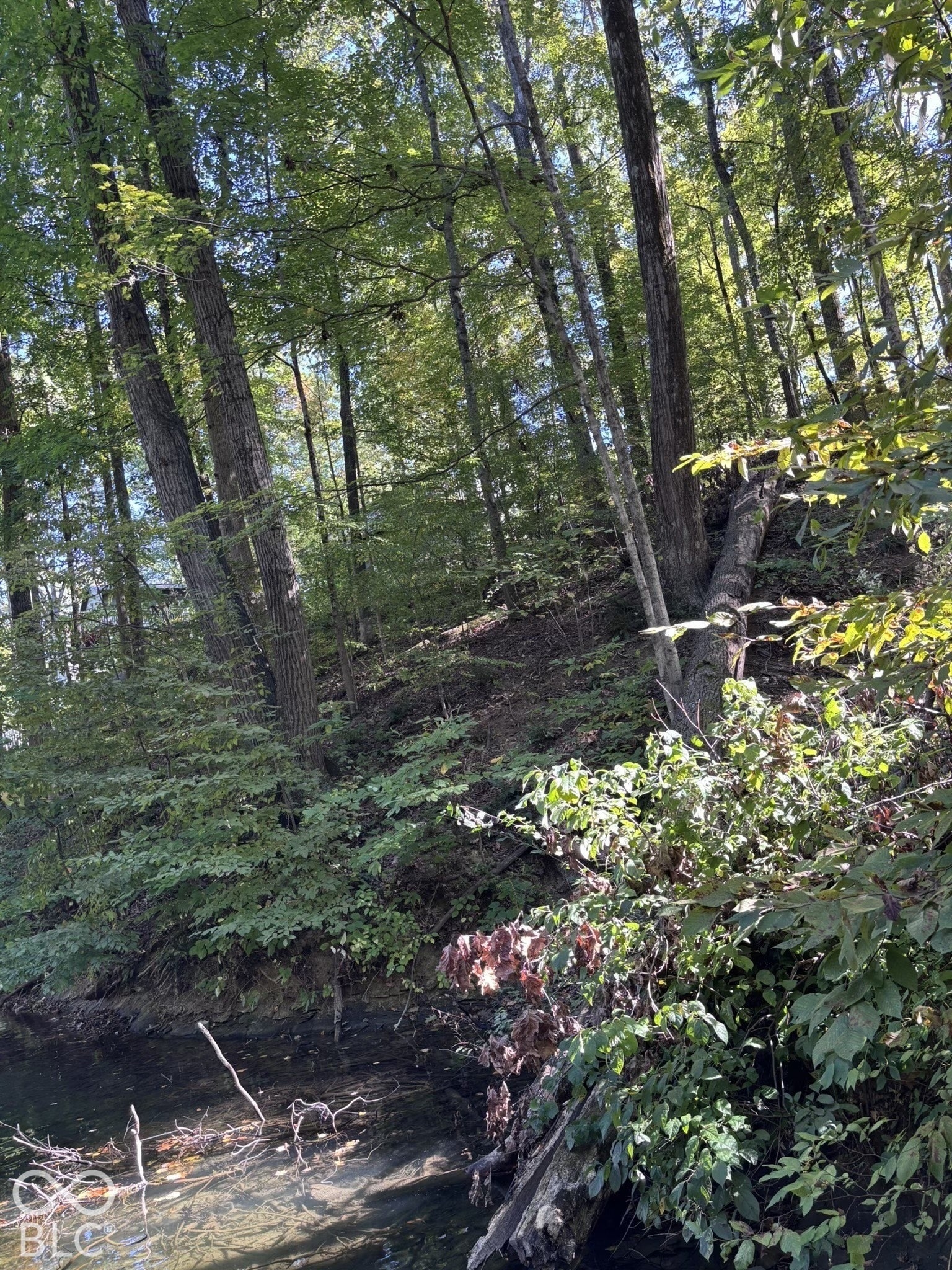 7617 Hummingbird Drive, Nineveh, IN 46164