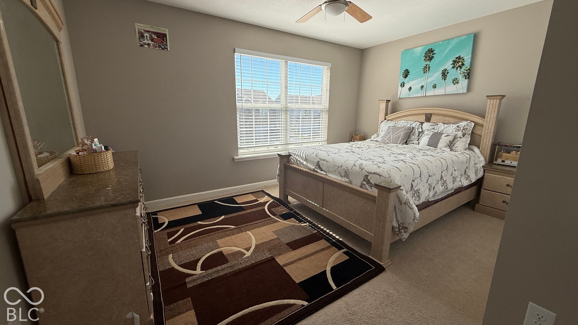 Carpeted flooring, window with blinds, ceiling fan, and painted walls