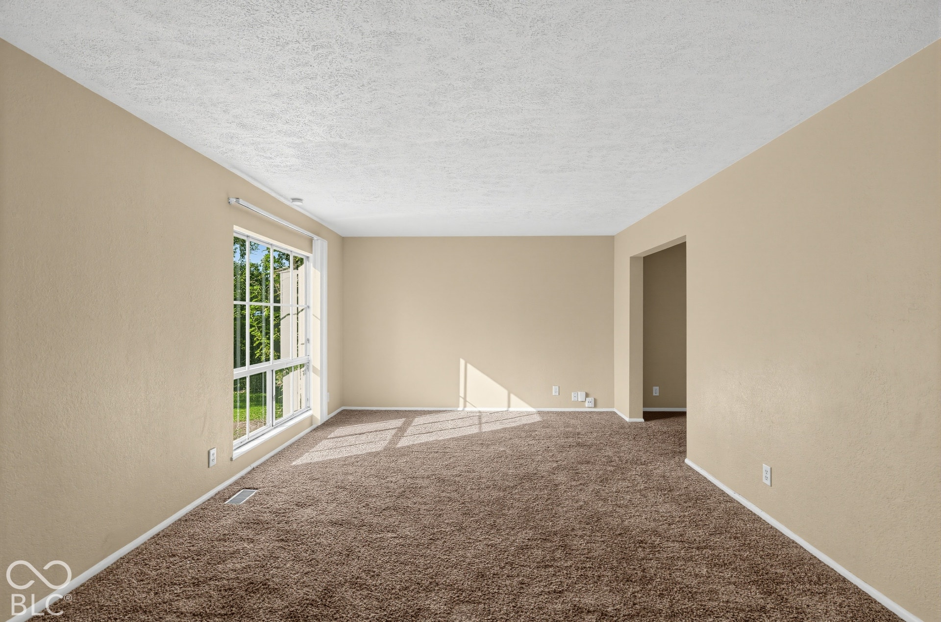3733 Ireland Drive, Indianapolis, IN 46235 Expansive room featuring neutral-toned walls, brown carpeting, and a large multi-pane window