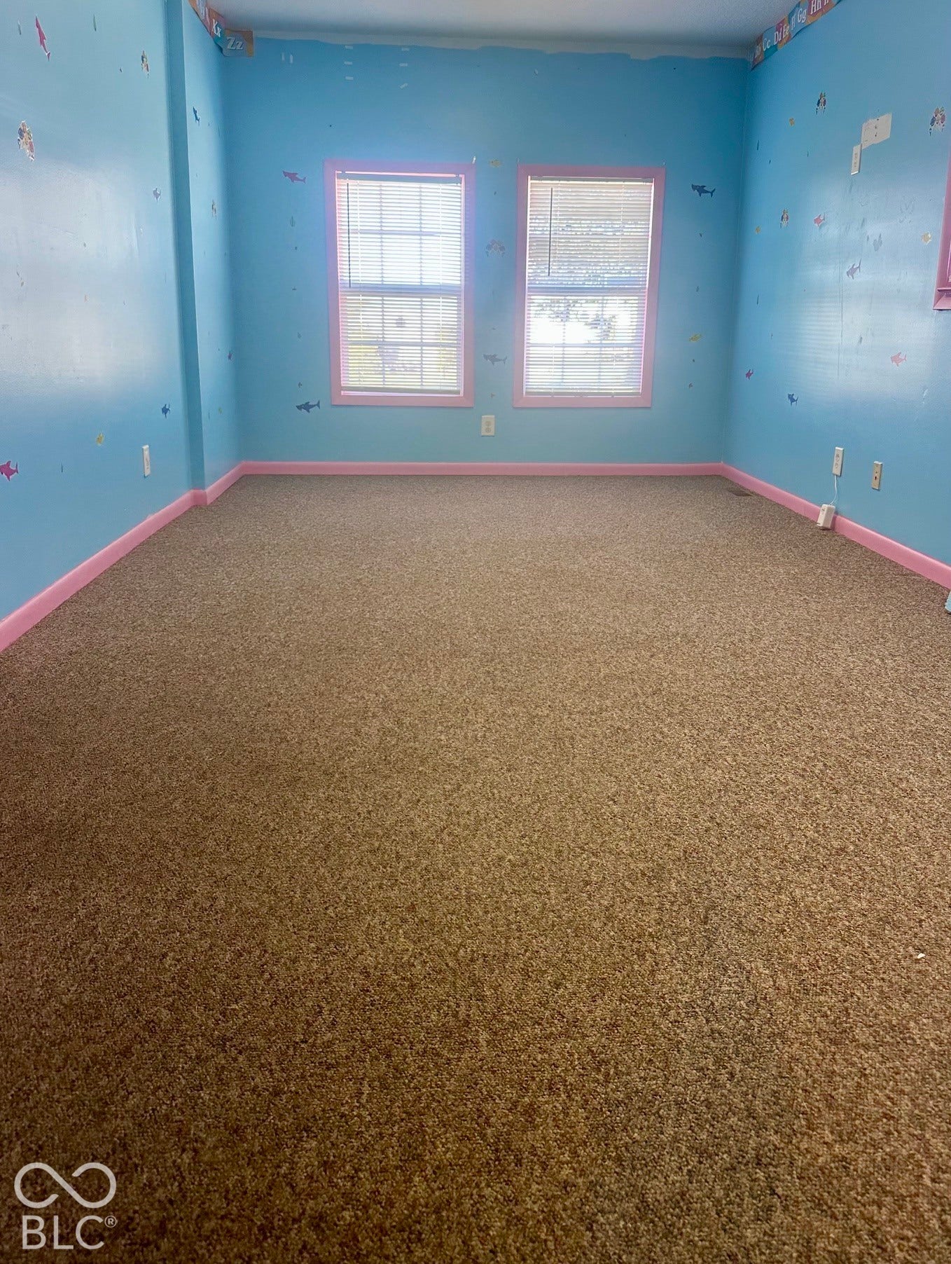 Carpeted Room off of the rear entrance