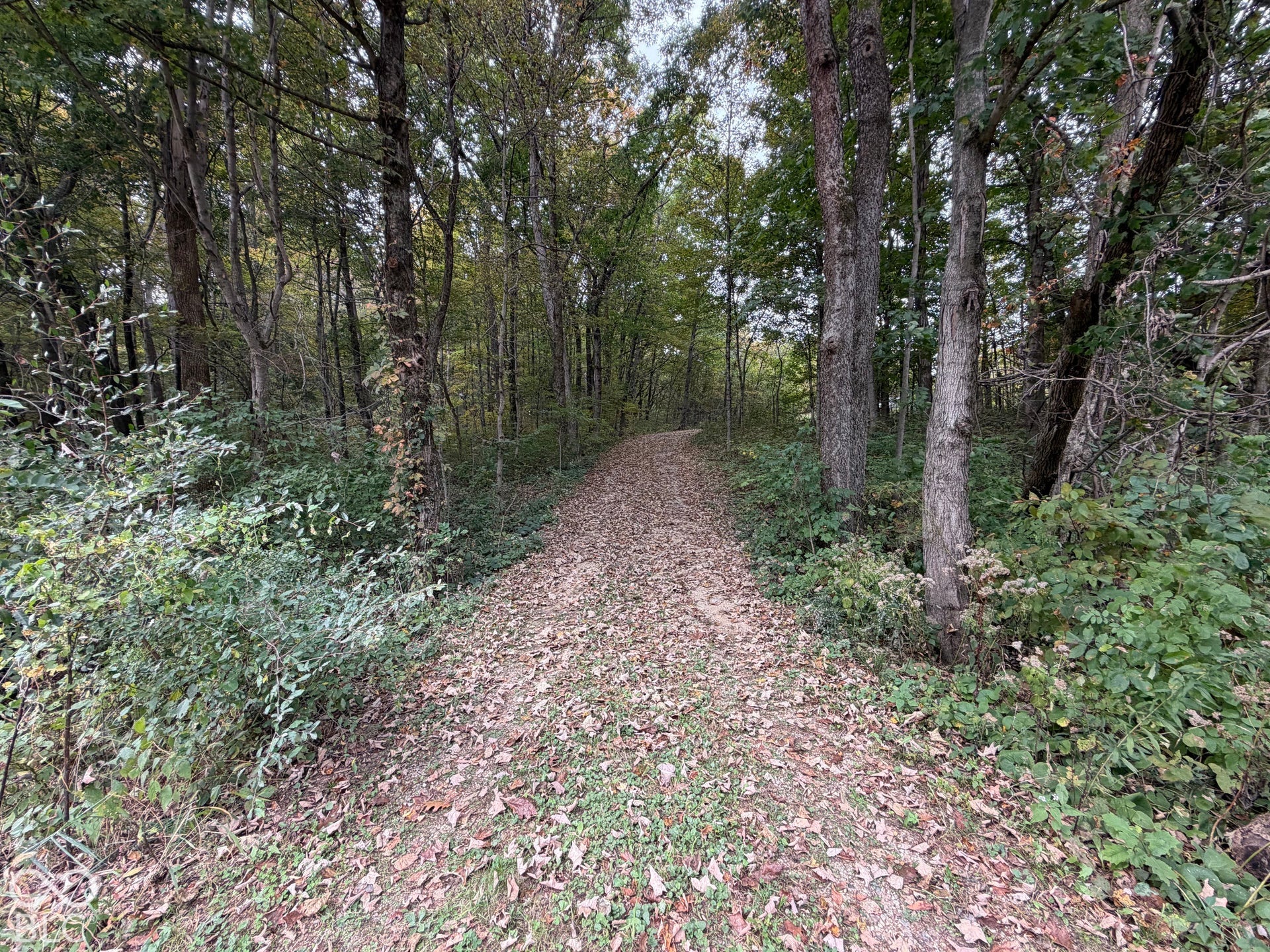 0 S Glascock Road, Veedersburg, IN 47987