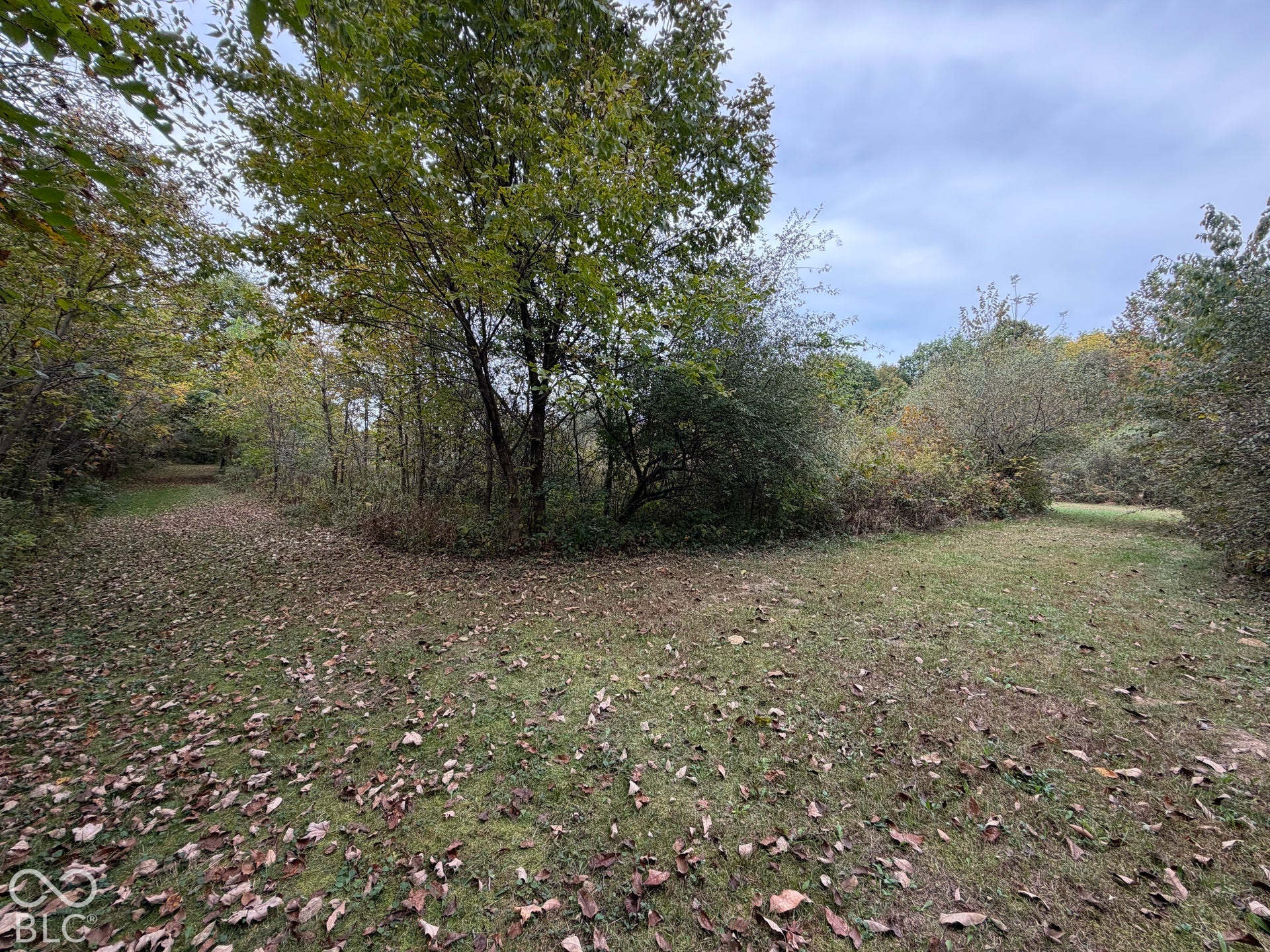 0 S Glascock Road, Veedersburg, IN 47987