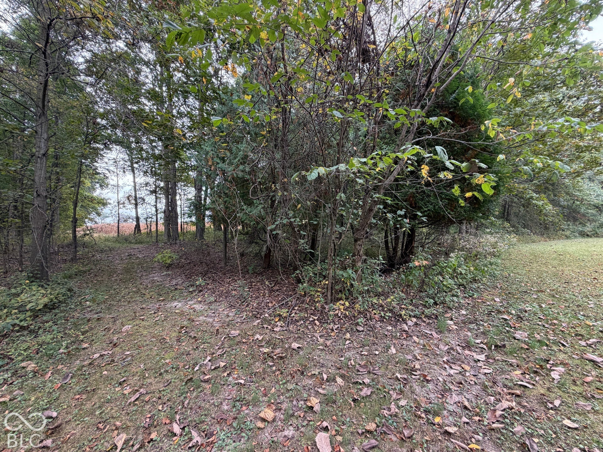 0 S Glascock Road, Veedersburg, IN 47987