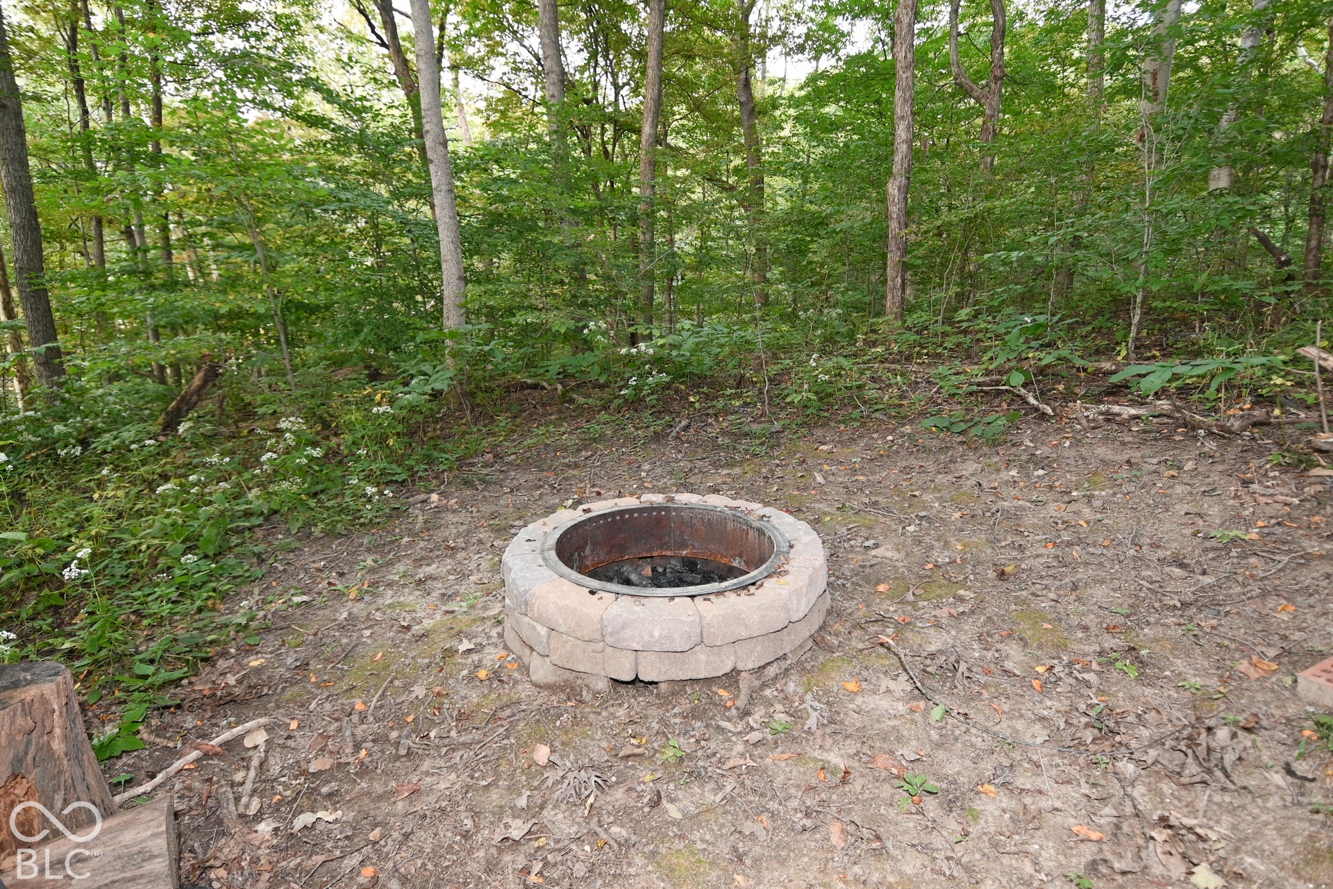 Trail with firepit