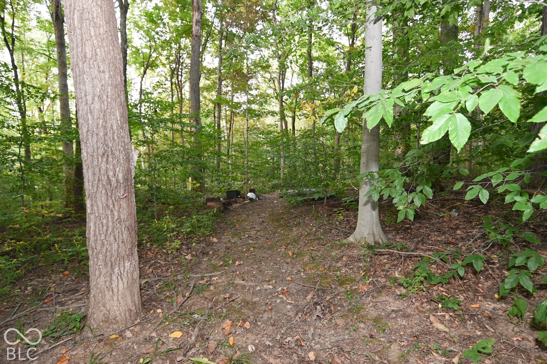 454 E County Road 550 S, Cloverdale, IN 46120