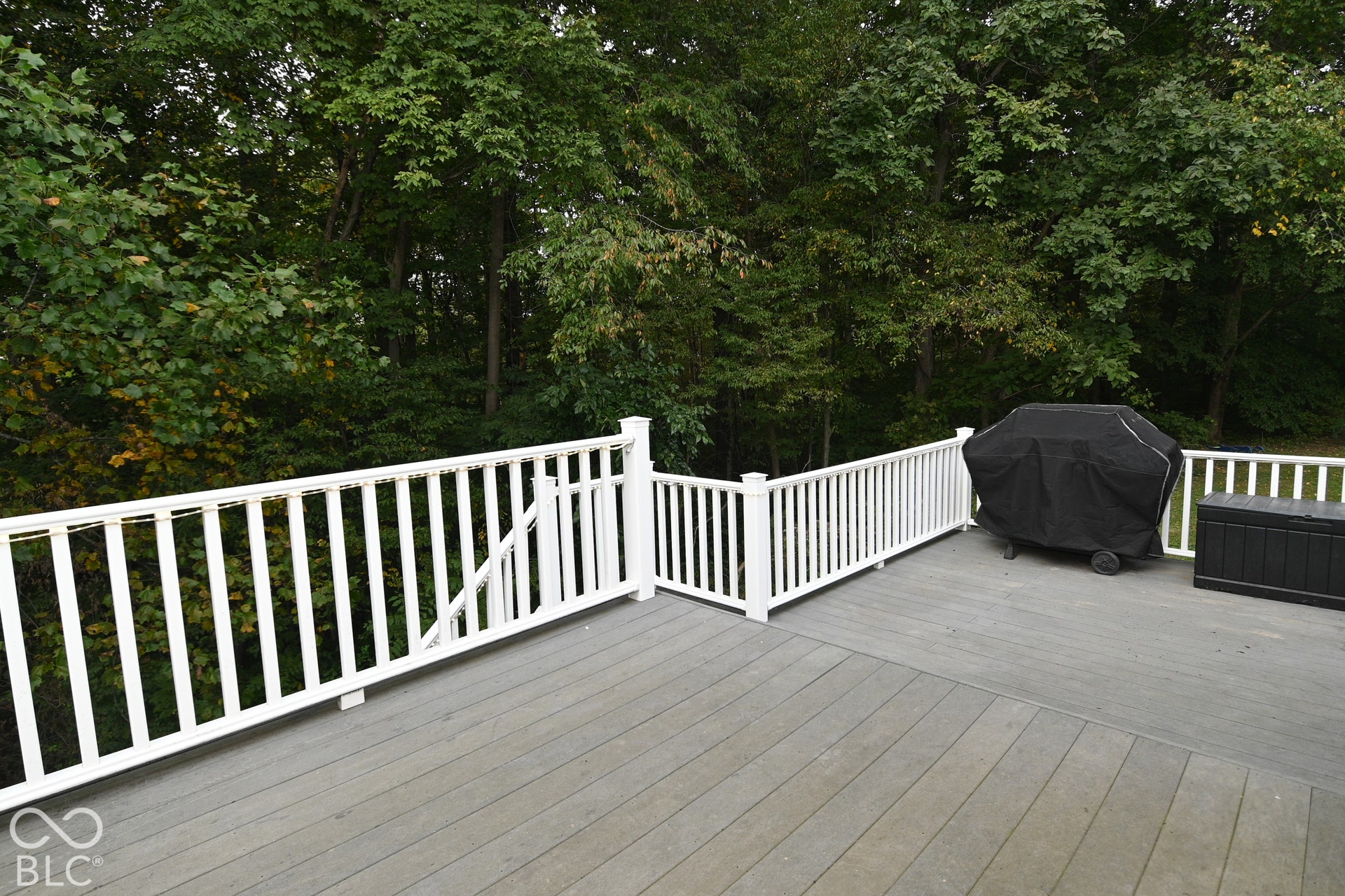 Back Patio
