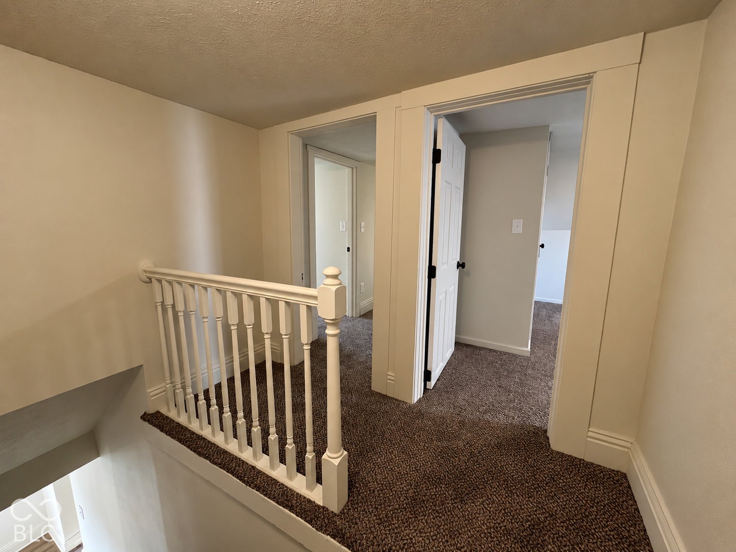Carpeted hallway with white trim, white paneled doors, and white baluster railing