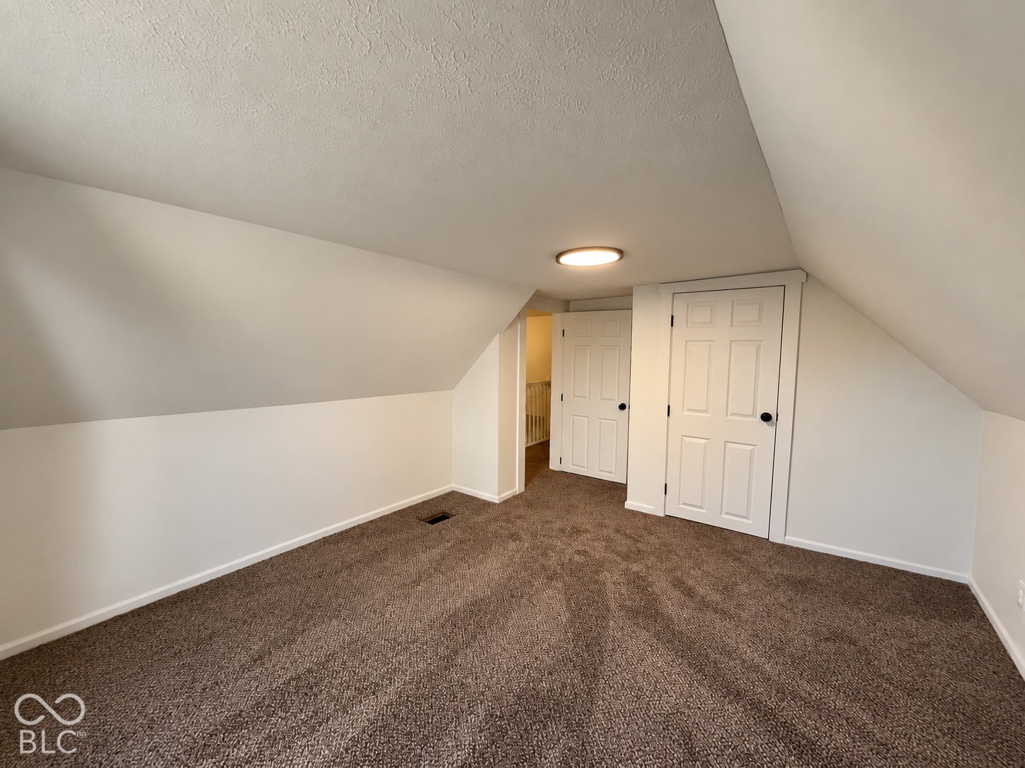 Brown carpet flooring, white painted walls, two white panel doors, and a flush mount ceiling light fixture