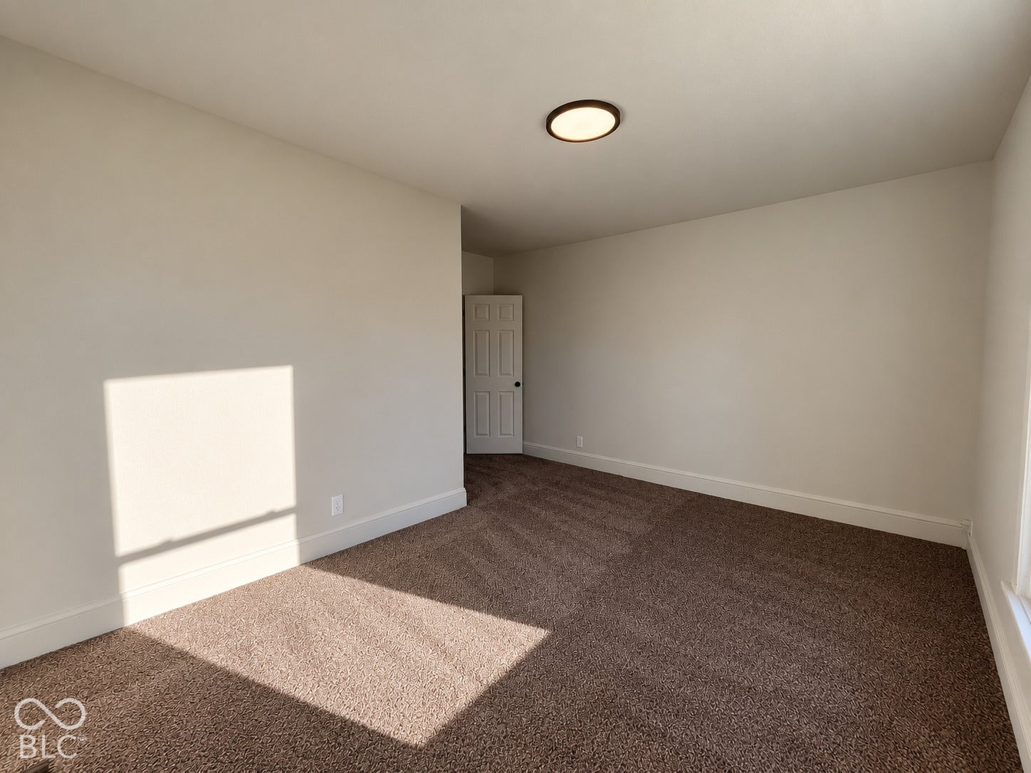Neutral wall color, ceiling-mounted light fixture, paneled door, and carpet flooring