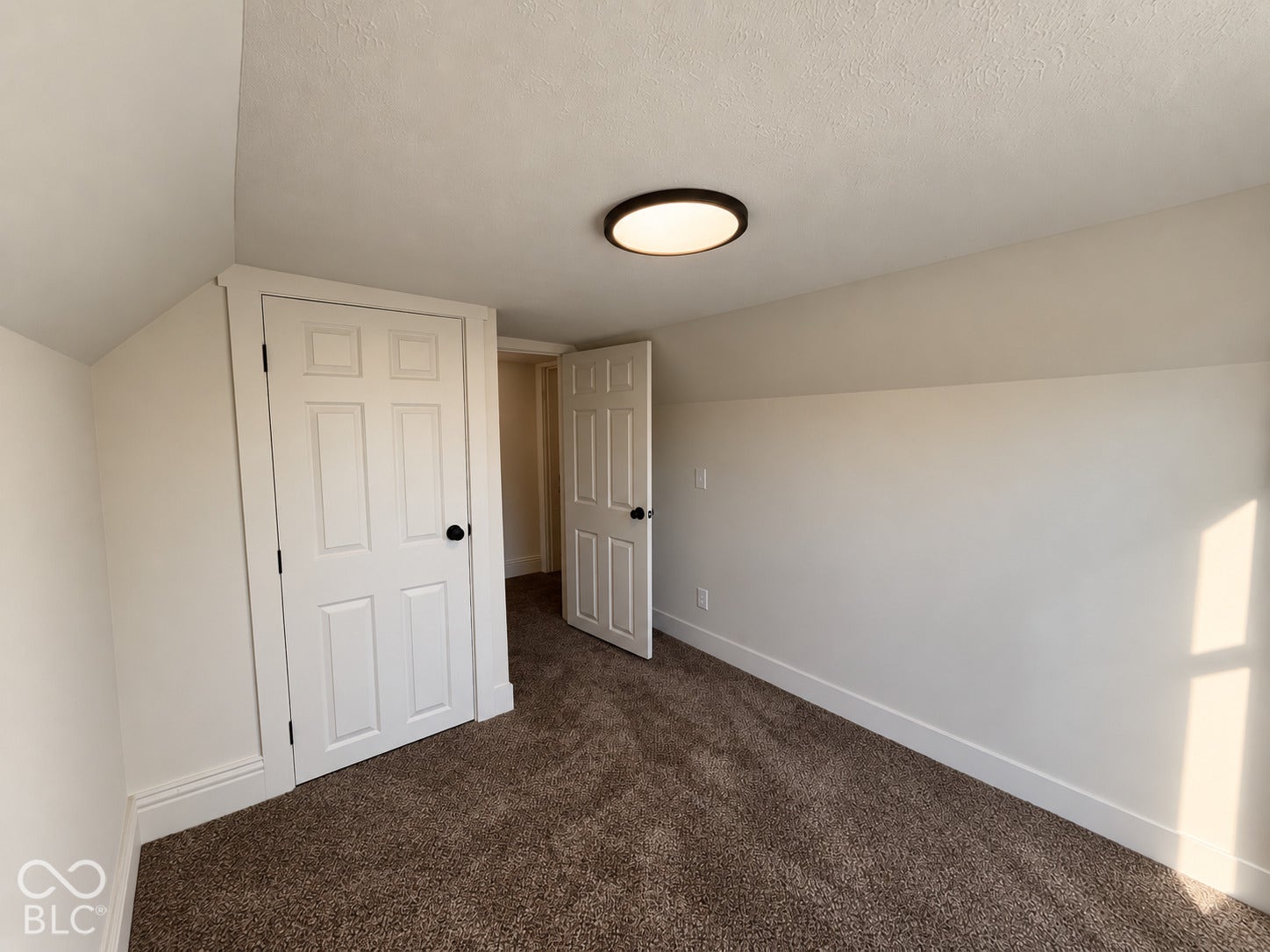 Textured carpeting, white interior doors, bright overhead lighting, and white trim molding