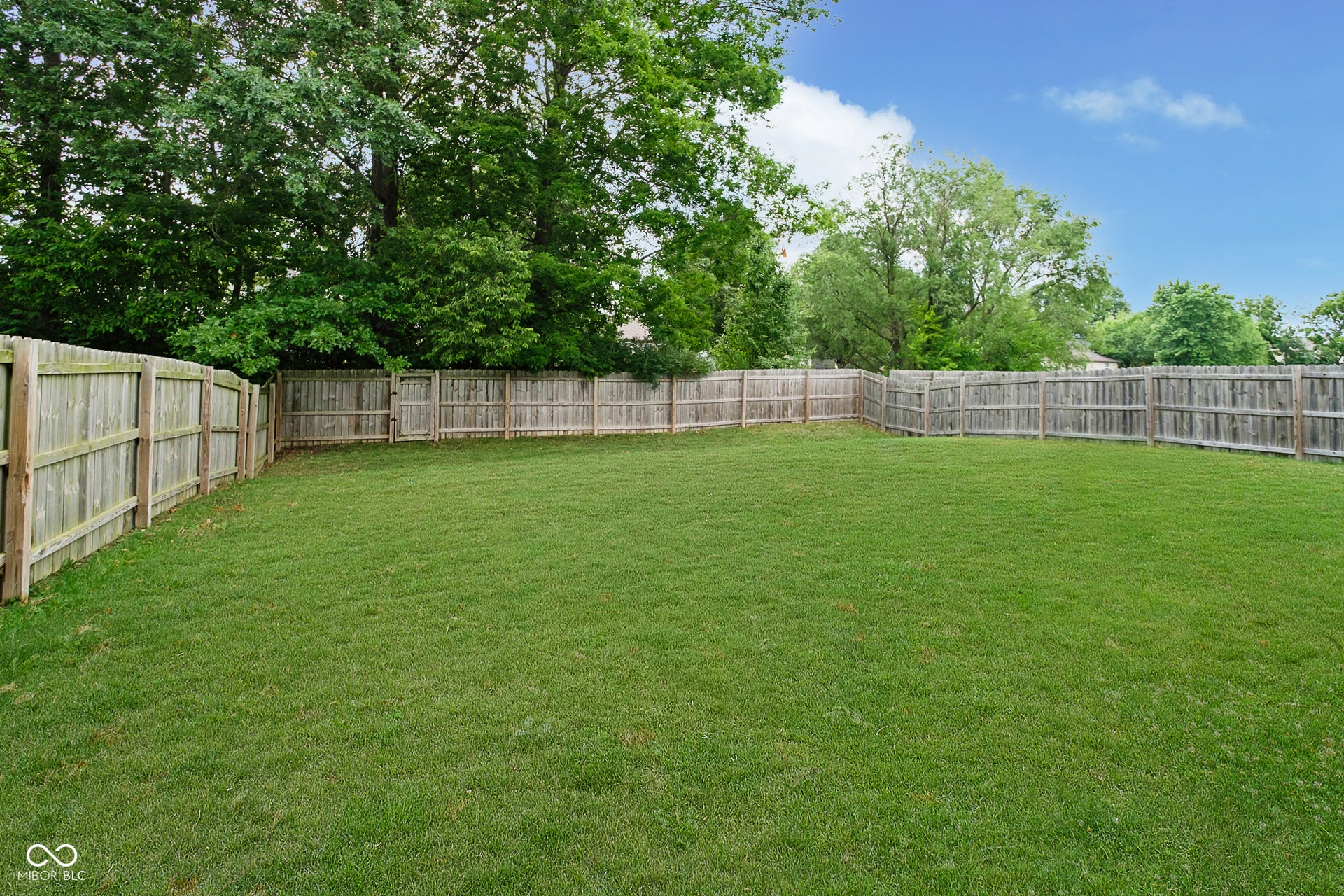 Fully fenced, rear yard