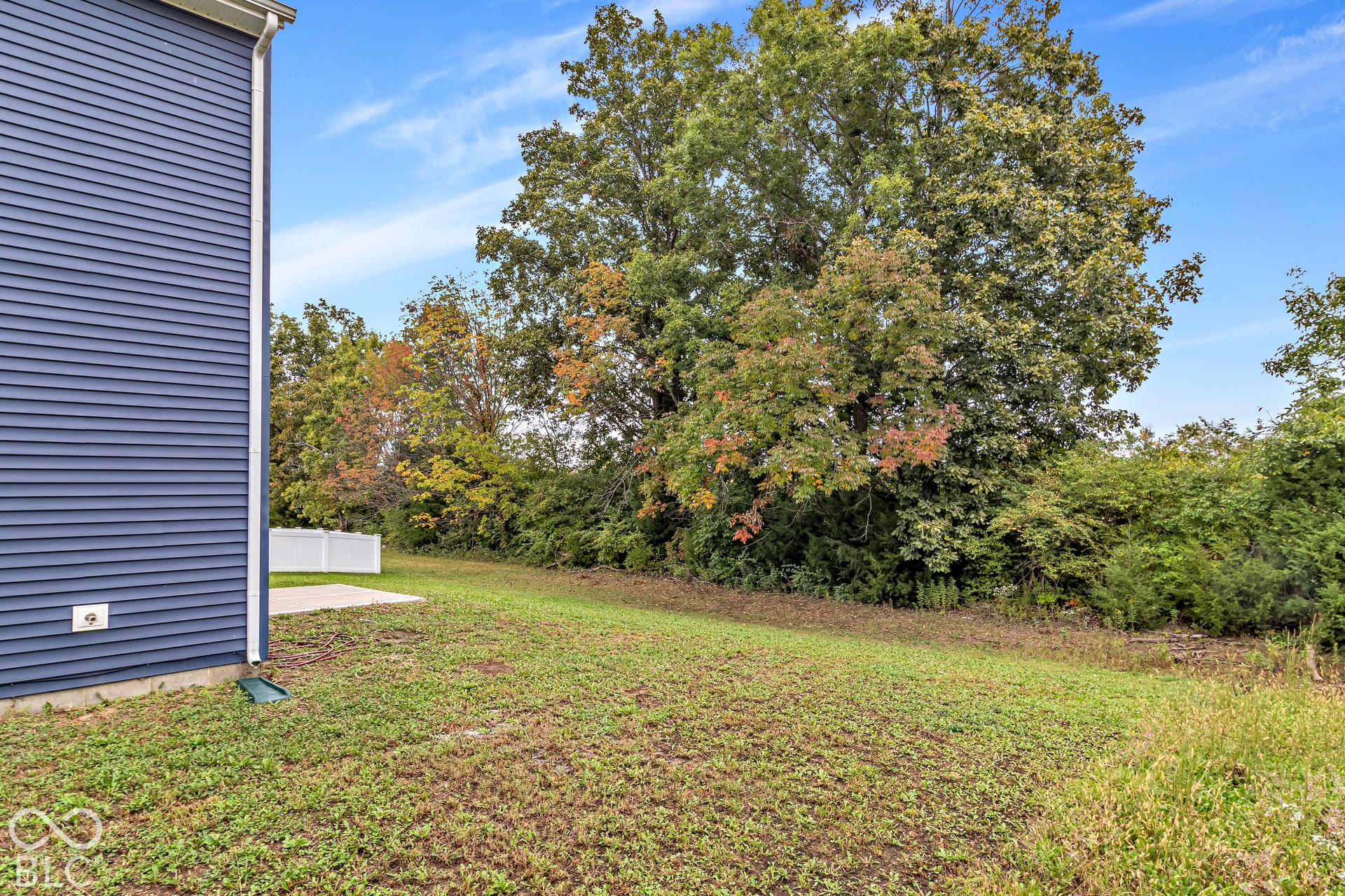 Exterior featuring blue horizontal siding, white trim, and a concrete patio