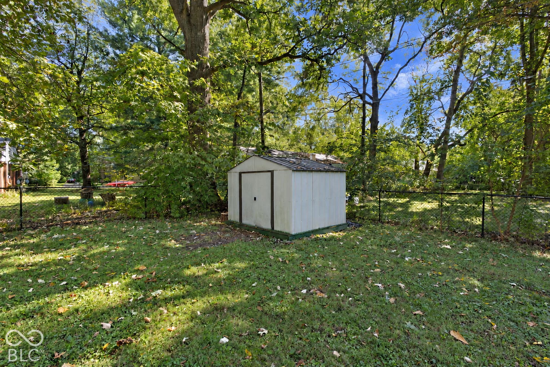 Expansive backyard featuring a storage shed, chain-link fencing, and mature trees