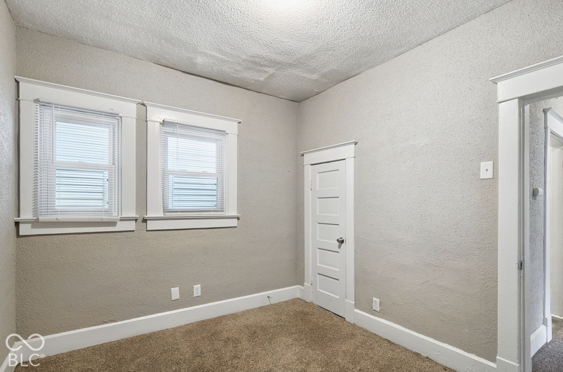 Two windows with blinds, white trim, a painted door, and wall-to-wall carpeting