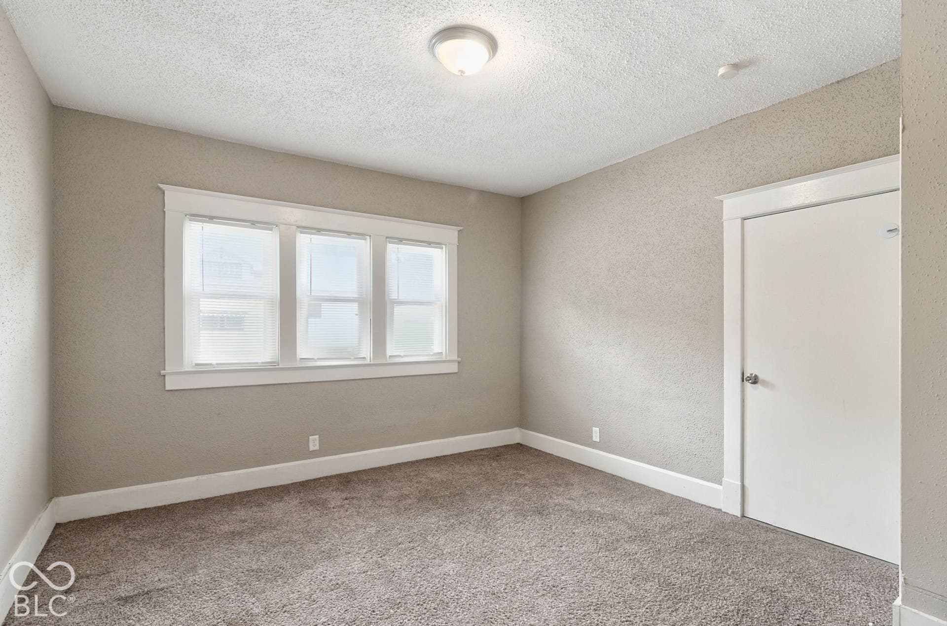 Neutral wall colors, textured wall finish, and gray carpet flooring