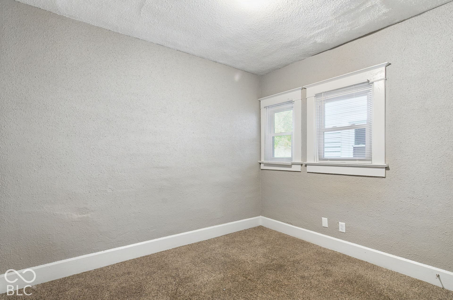 Neutral wall finish, carpet flooring, and white trim