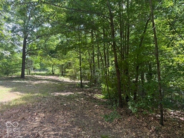 0 Buffalo Pike Road, Freetown, IN 47235