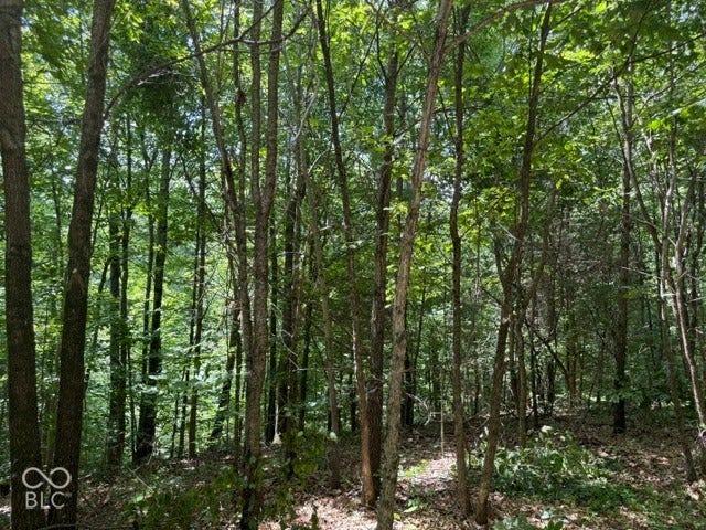 0 Buffalo Pike Road, Freetown, IN 47235
