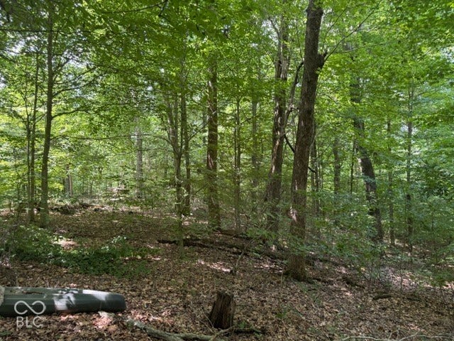 0 Buffalo Pike Road, Freetown, IN 47235