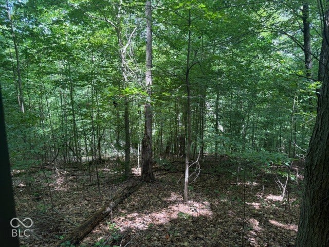 0 Buffalo Pike Road, Freetown, IN 47235