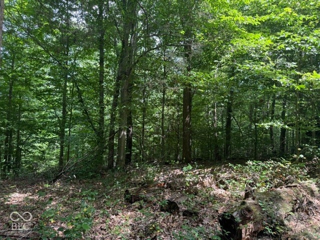 0 Buffalo Pike Road, Freetown, IN 47235