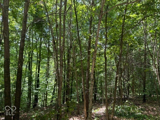 0 Buffalo Pike Road, Freetown, IN 47235