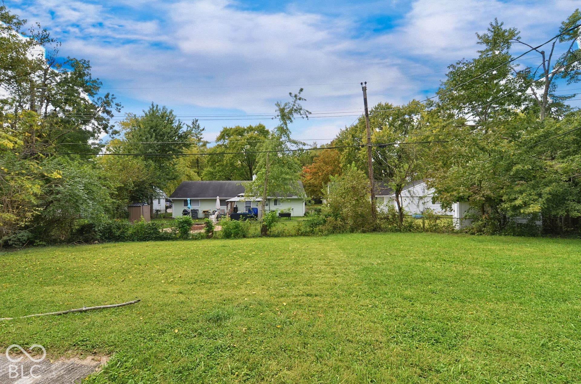 Expansive grassy area with surrounding mature trees and foliage