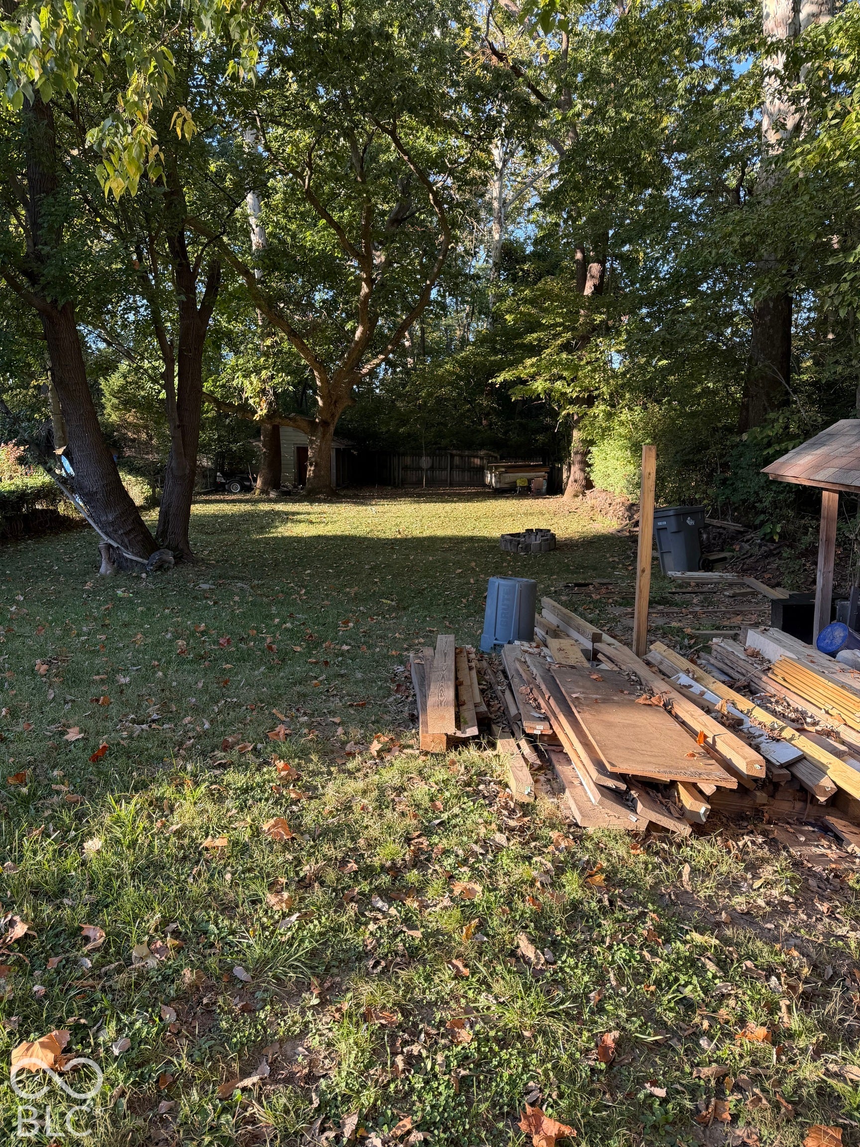 Expansive backyard featuring mature trees and a detached shed structure