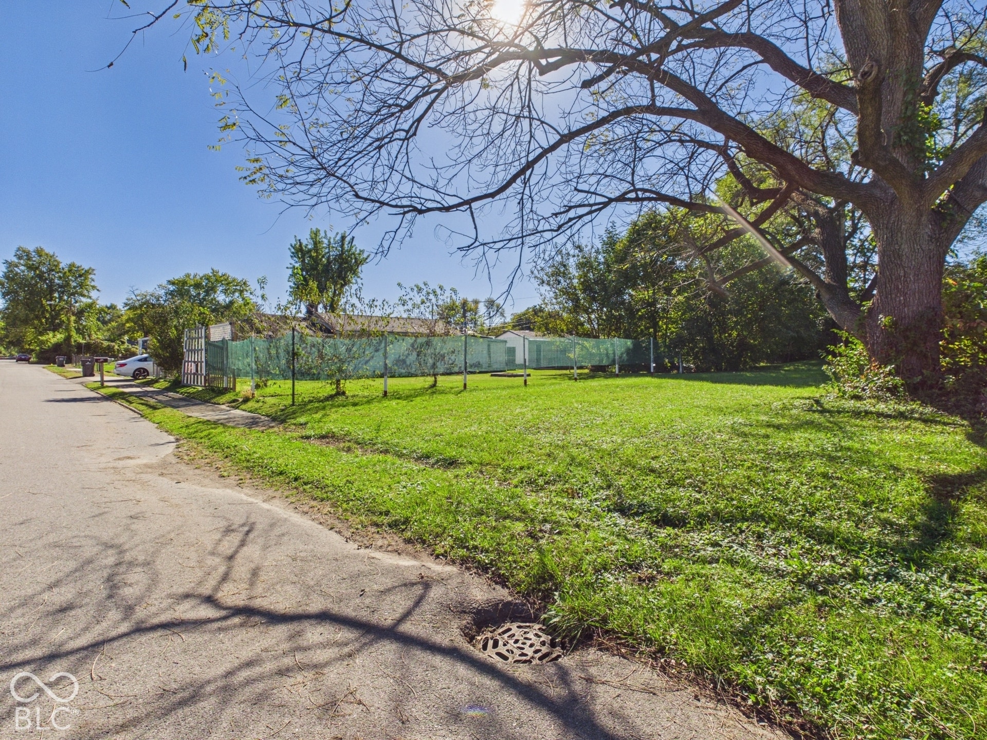 Expansive grassy area featuring a mature tree and partial fencing
