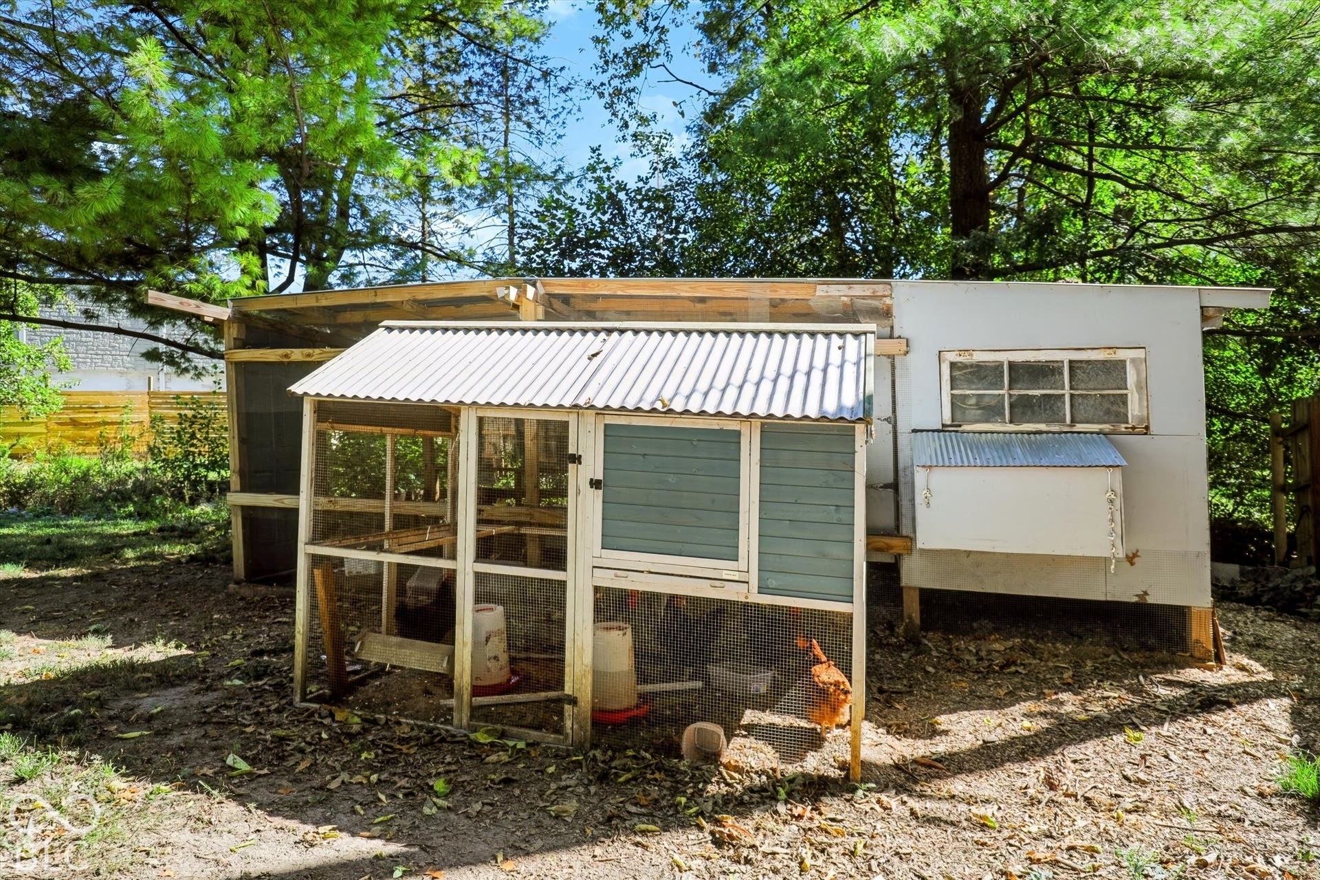 Chicken coop