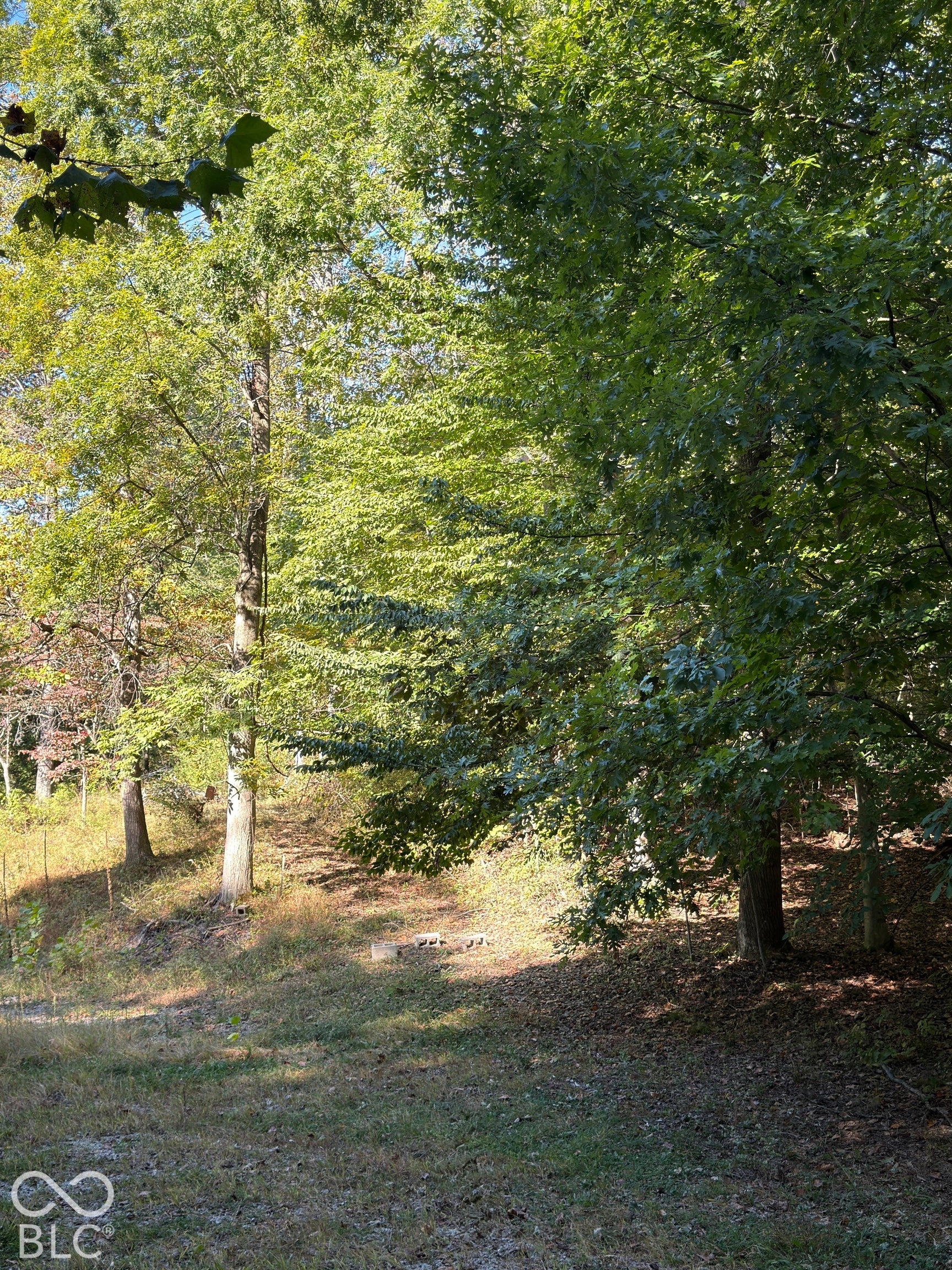 8942 Bean Blossom Road, Trafalgar, IN 46181