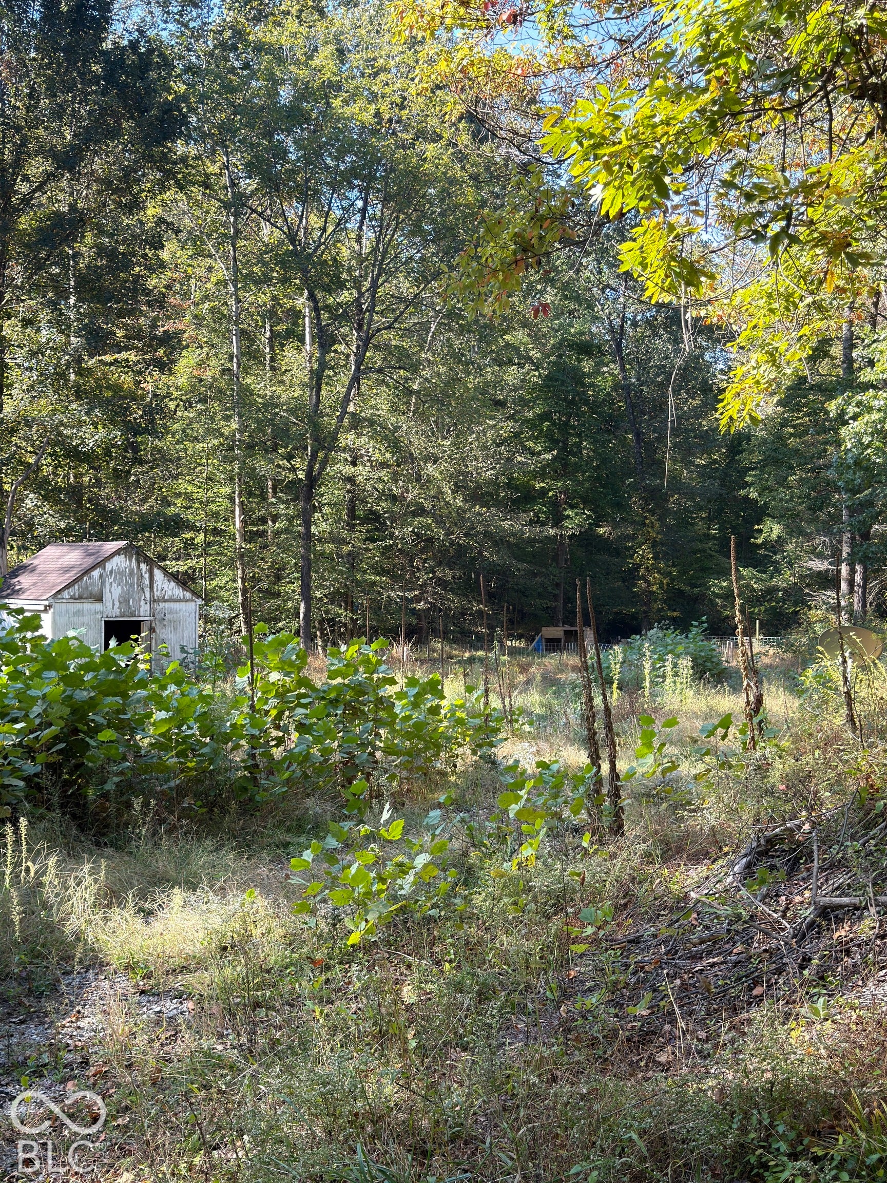 8942 Bean Blossom Road, Trafalgar, IN 46181