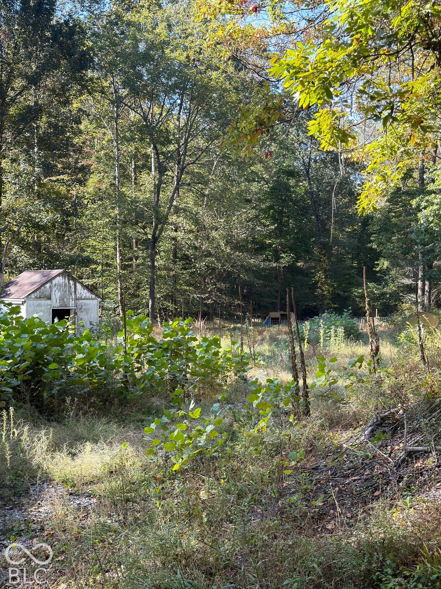 Property photo for 8942 Bean Blossom Road, Trafalgar, IN