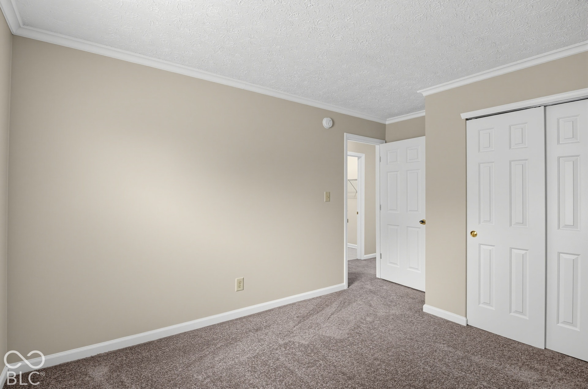 Neutral wall tones, wall-to-wall carpeting, crown molding, and a closet with multi-panel doors