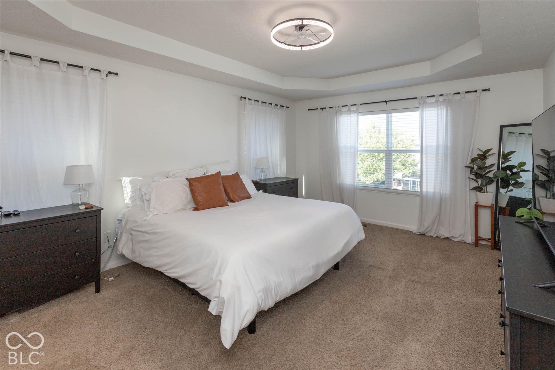 Tray ceiling, ceiling-mounted light fixture, window with blinds, and carpeted flooring