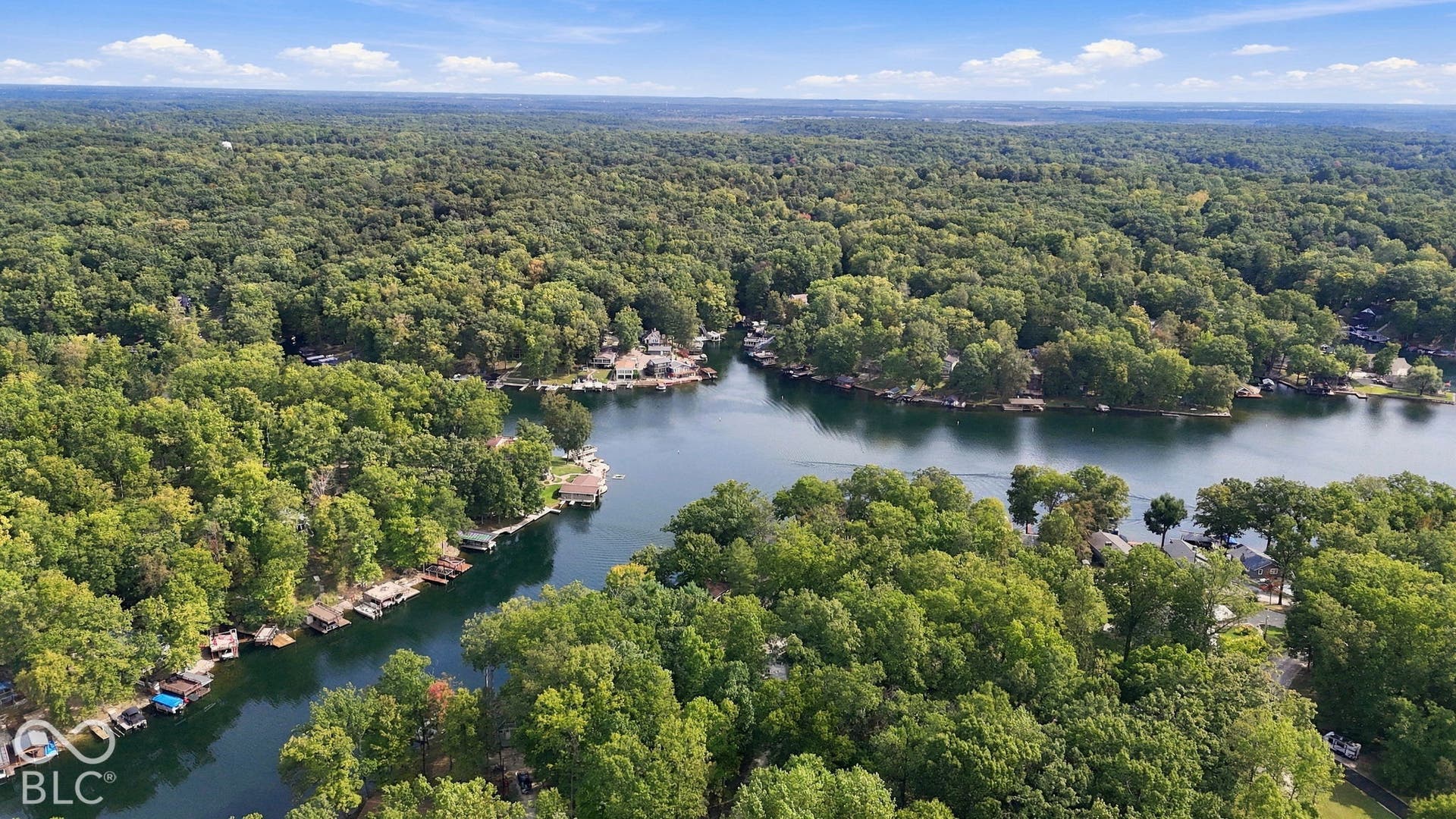 Lakefront properties with private docks, surrounded by dense woodlands