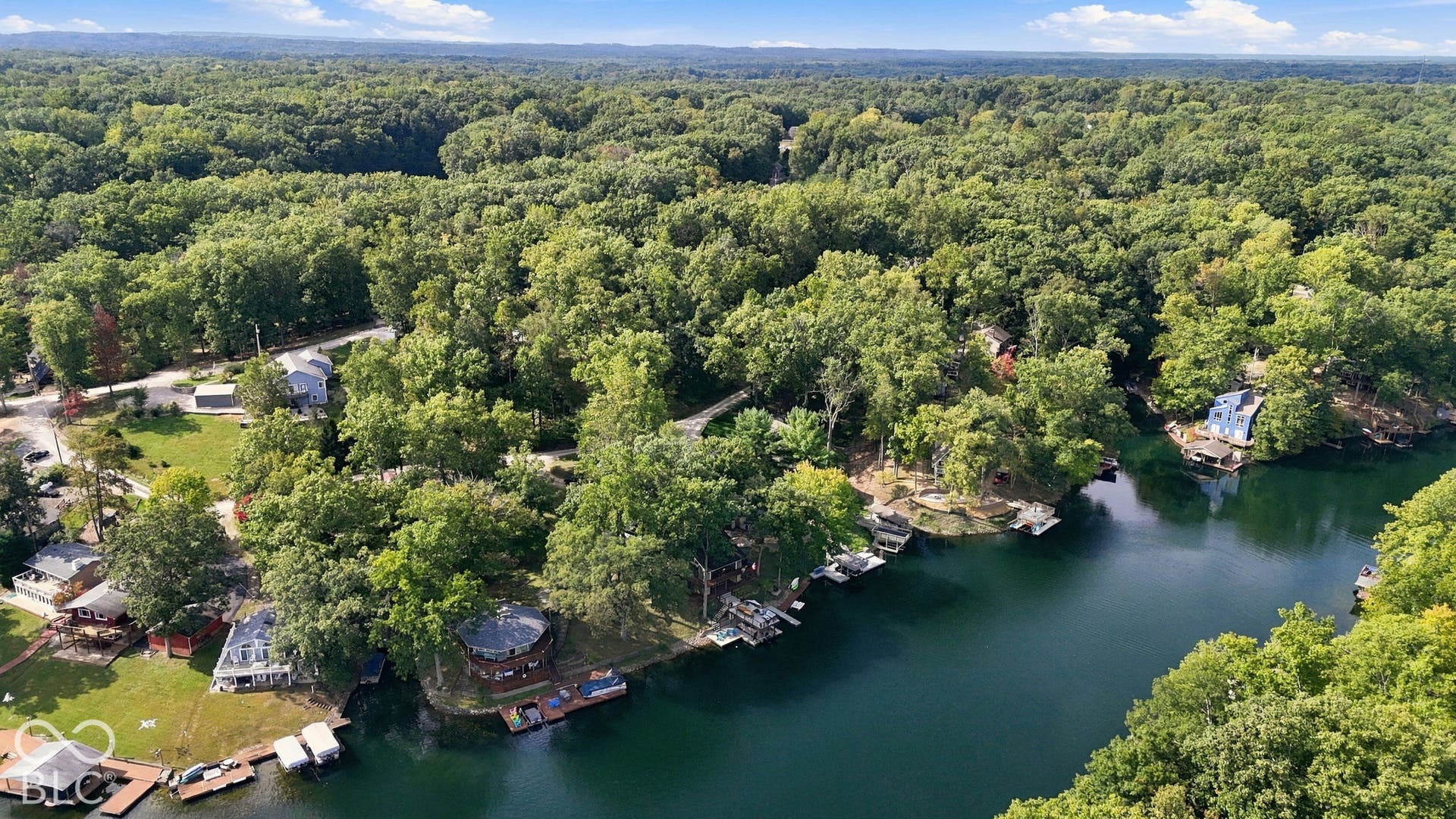 Waterfront properties with private docks, surrounded by dense mature trees