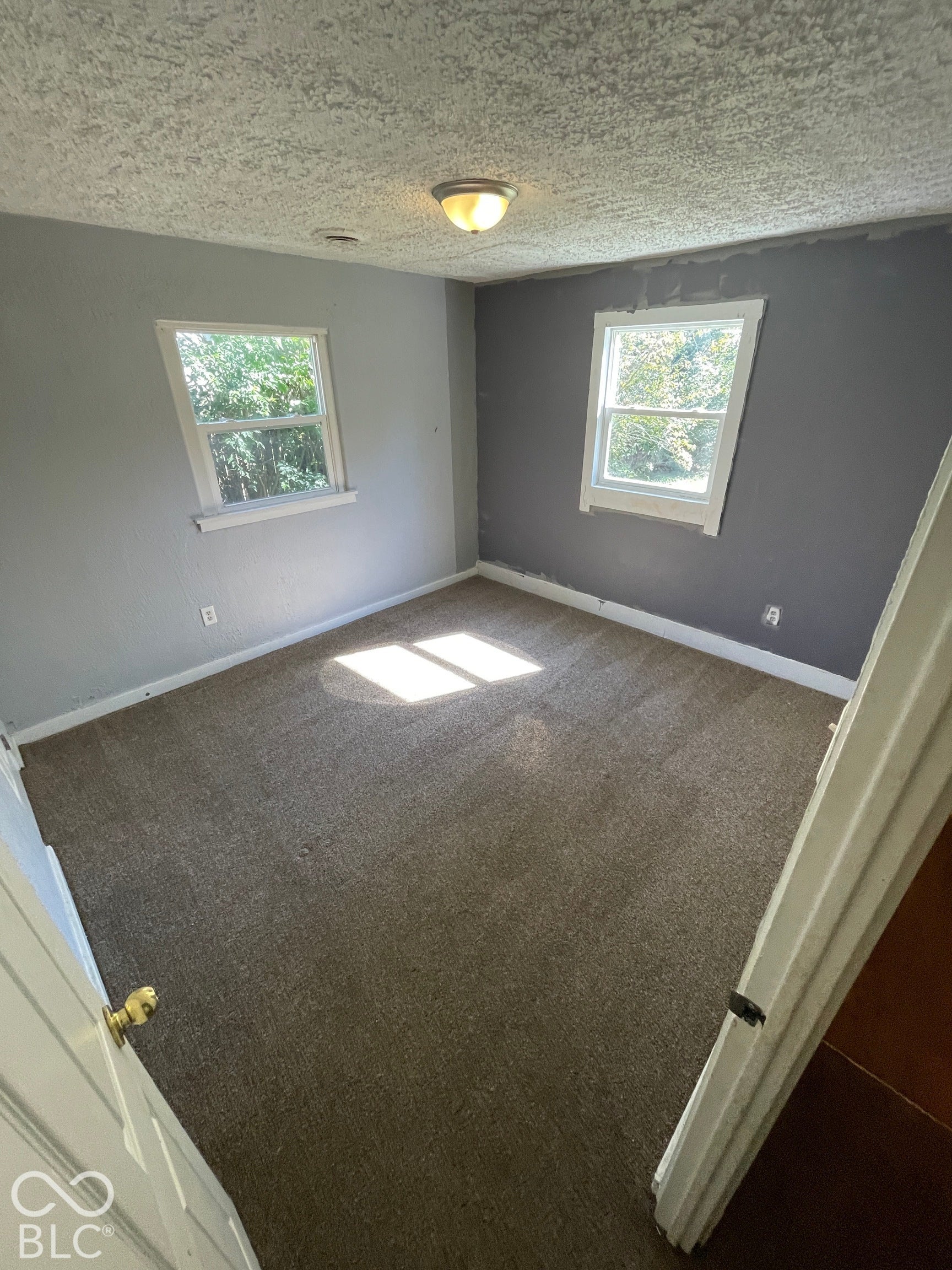 Carpeted flooring, two windows with white trim, textured ceiling, and a flush-mount ceiling light fixture