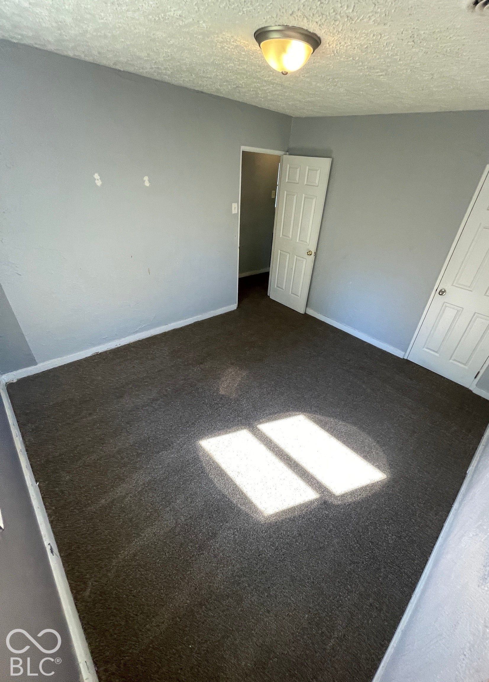 Spacious bedroom featuring dark wood-finish flooring, neutral gray walls, and abundant natural light from dual windows