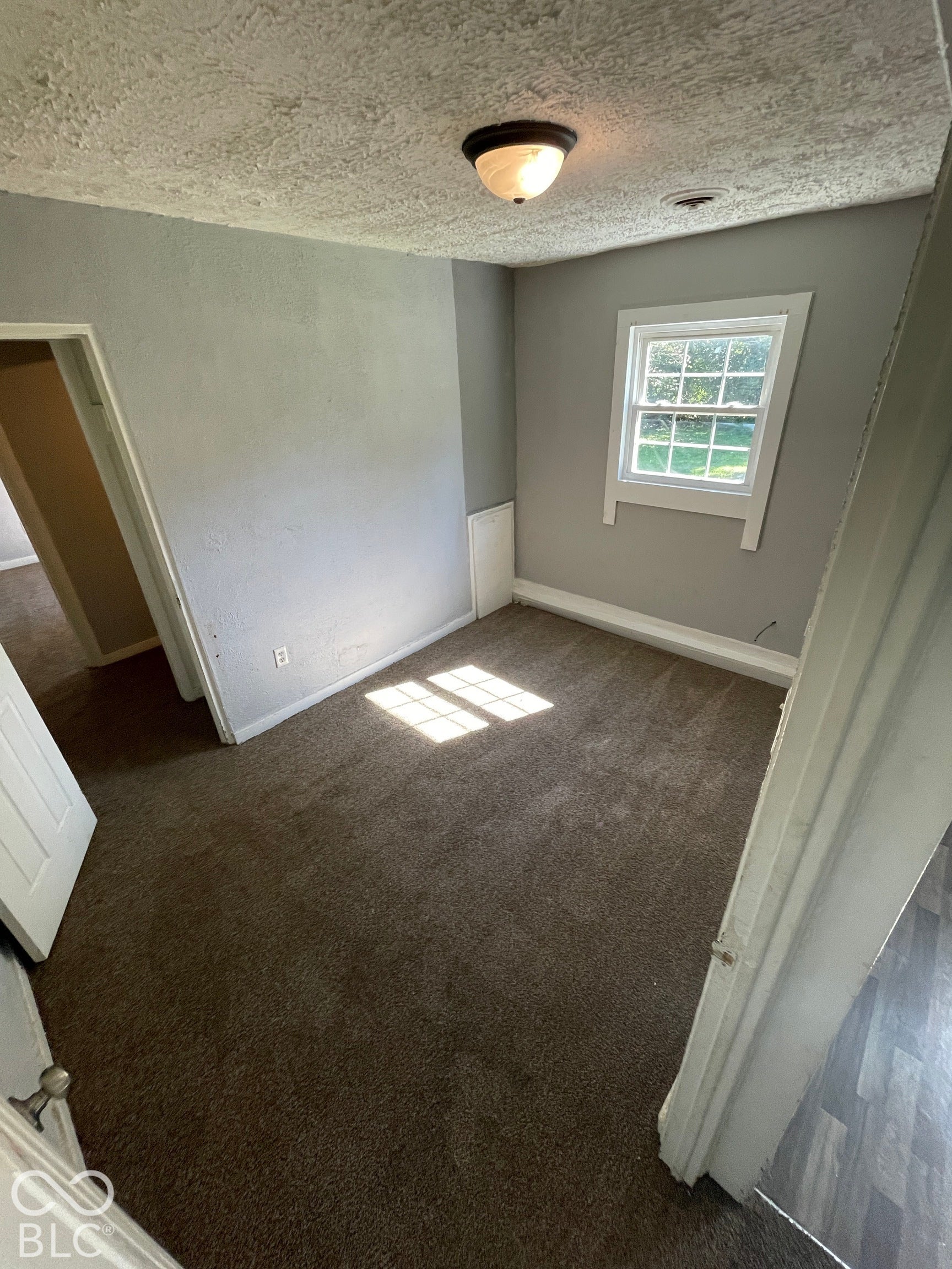 Bright secondary bedroom featuring neutral wall finishes, carpeted flooring, a double-hung window with natural light, and a ceiling-mounted fixture
