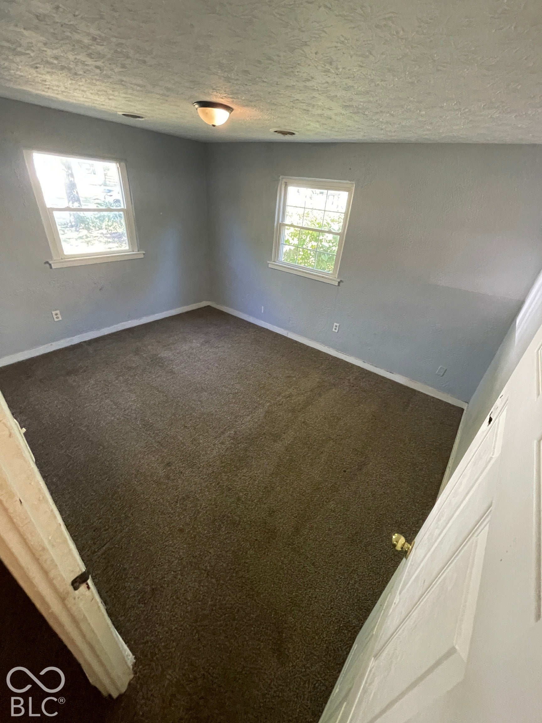Wall-to-wall carpeting, two windows with white trim, and a ceiling-mounted light fixture