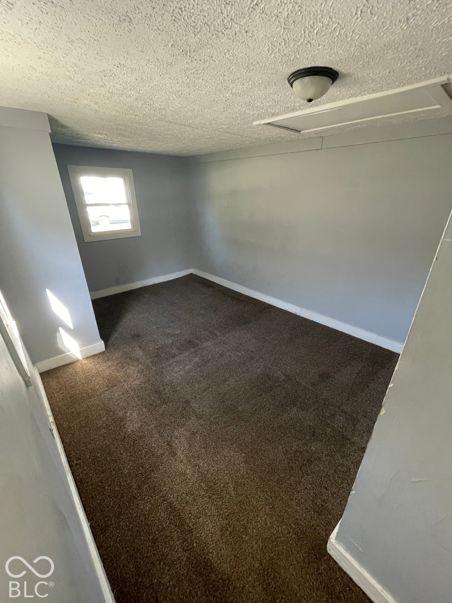 Carpet flooring, painted walls, single window, flush mount ceiling light, and ceiling access panel