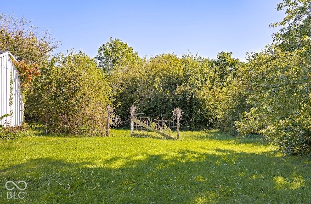 Expansive grassy area with a partial white vertical siding structure and a metal gate within a perimeter of dense foliage