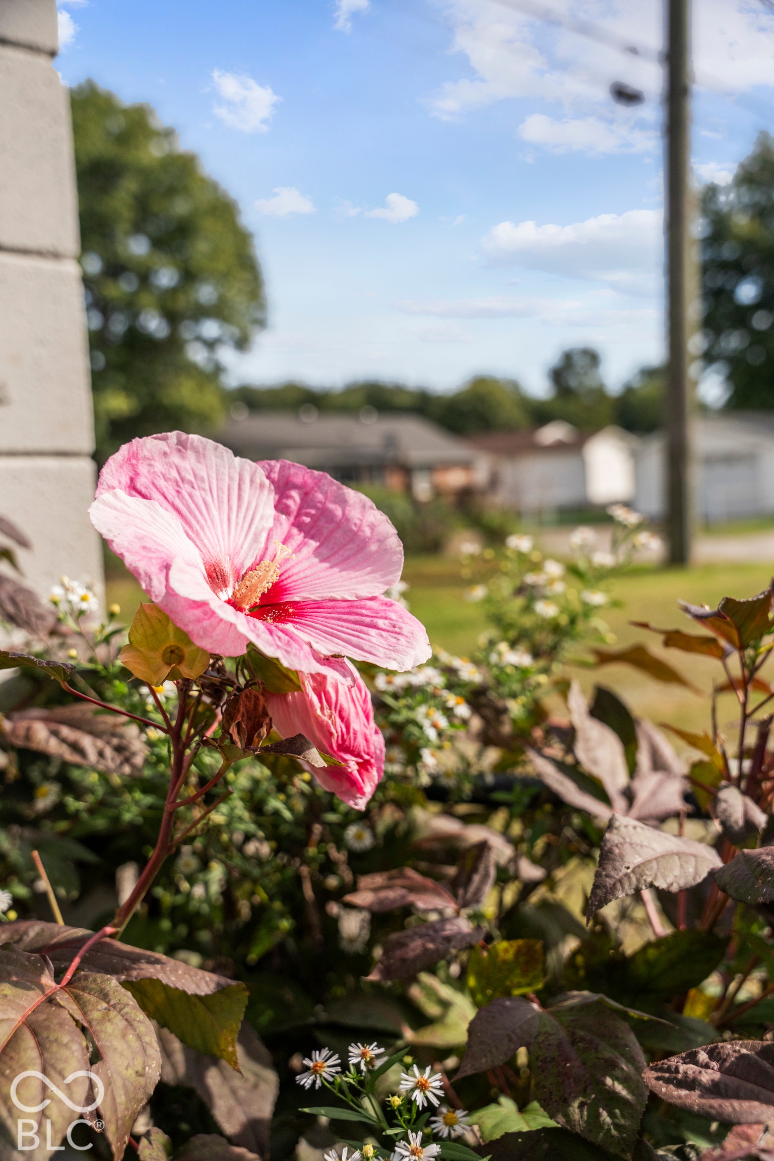 1190 E Morgan Street, Martinsville, IN 46151 1190 E Morgan Street, Martinsville, IN 46151