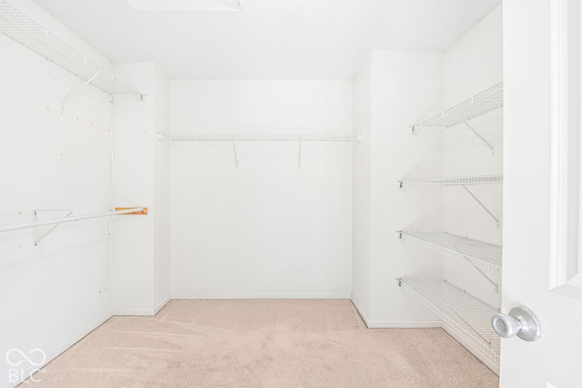 Walk-in closet featuring wire shelving, hanging rods, and carpet flooring