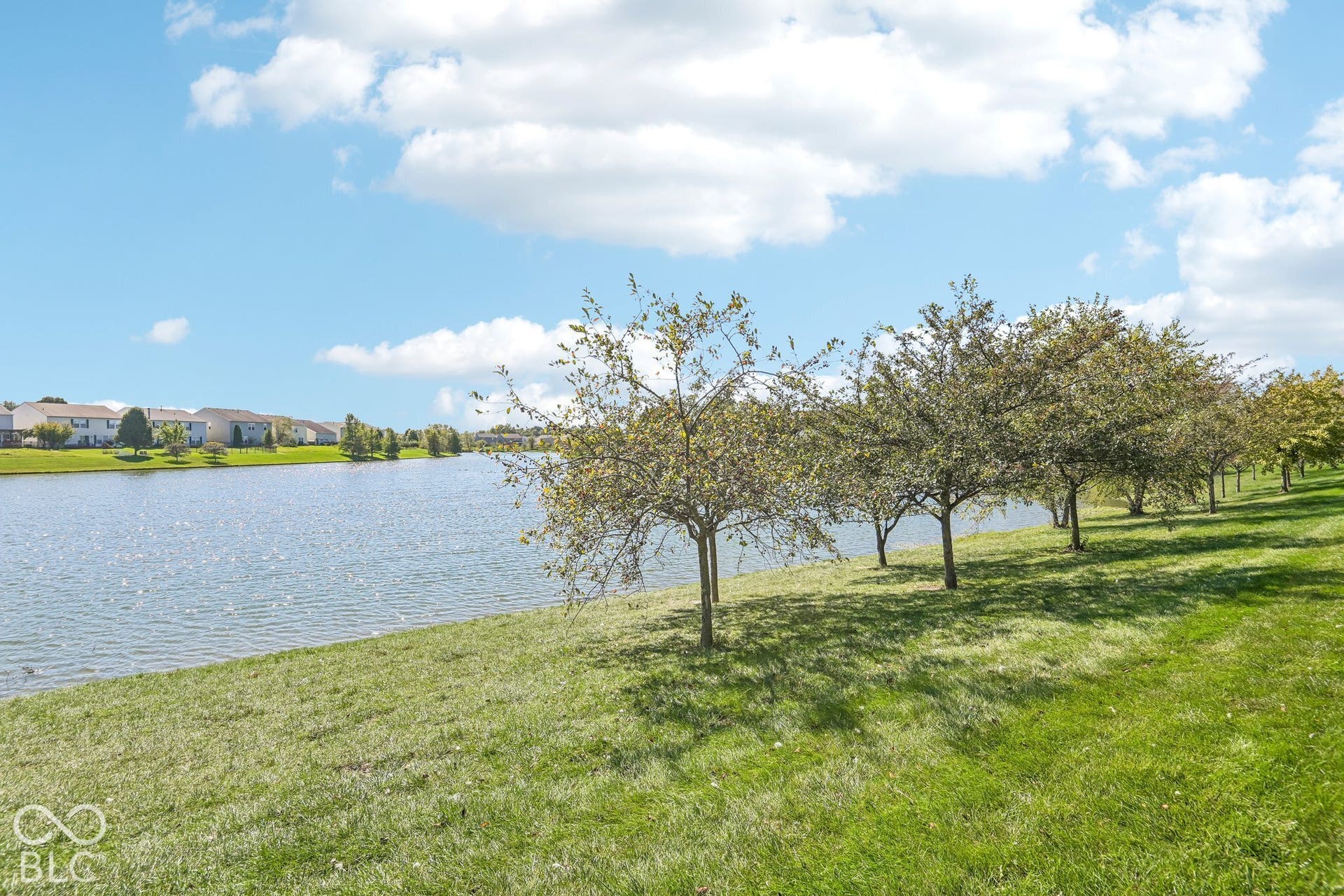 Expansive waterfront with a grassy bank and a tree-lined perimeter