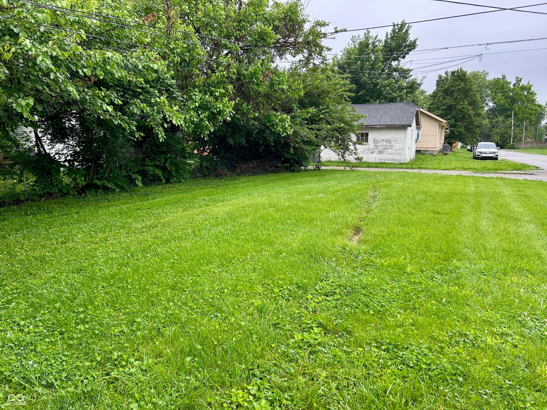 Expansive green lawn with mature perimeter trees