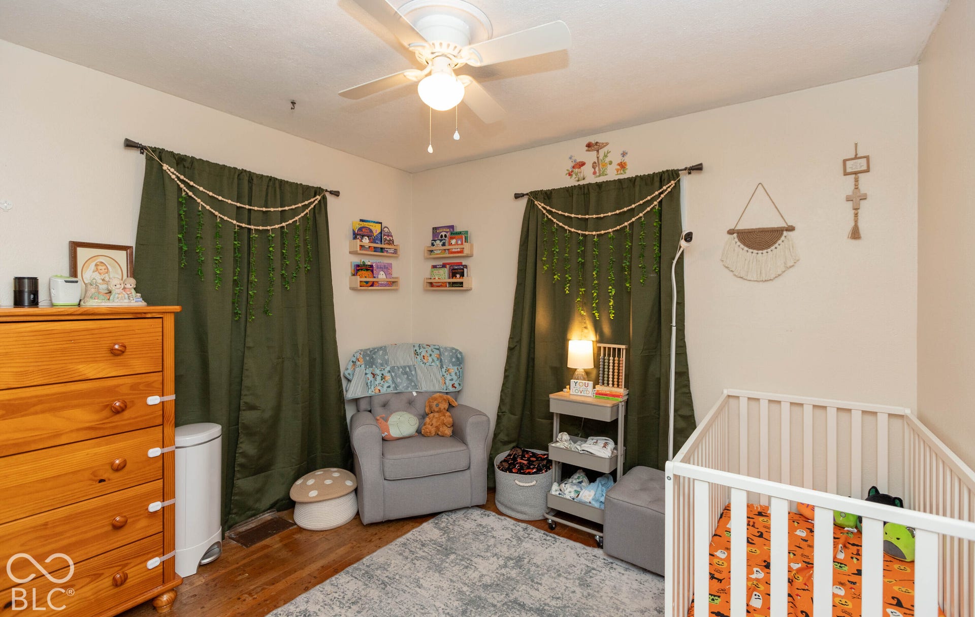 504 E Douglas Drive, Brownsburg, IN 46112