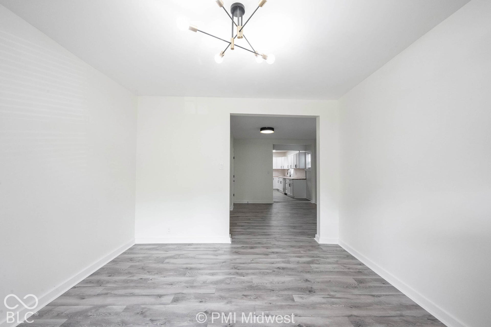 Modern ceiling light fixture, wood-finish flooring, and white painted walls