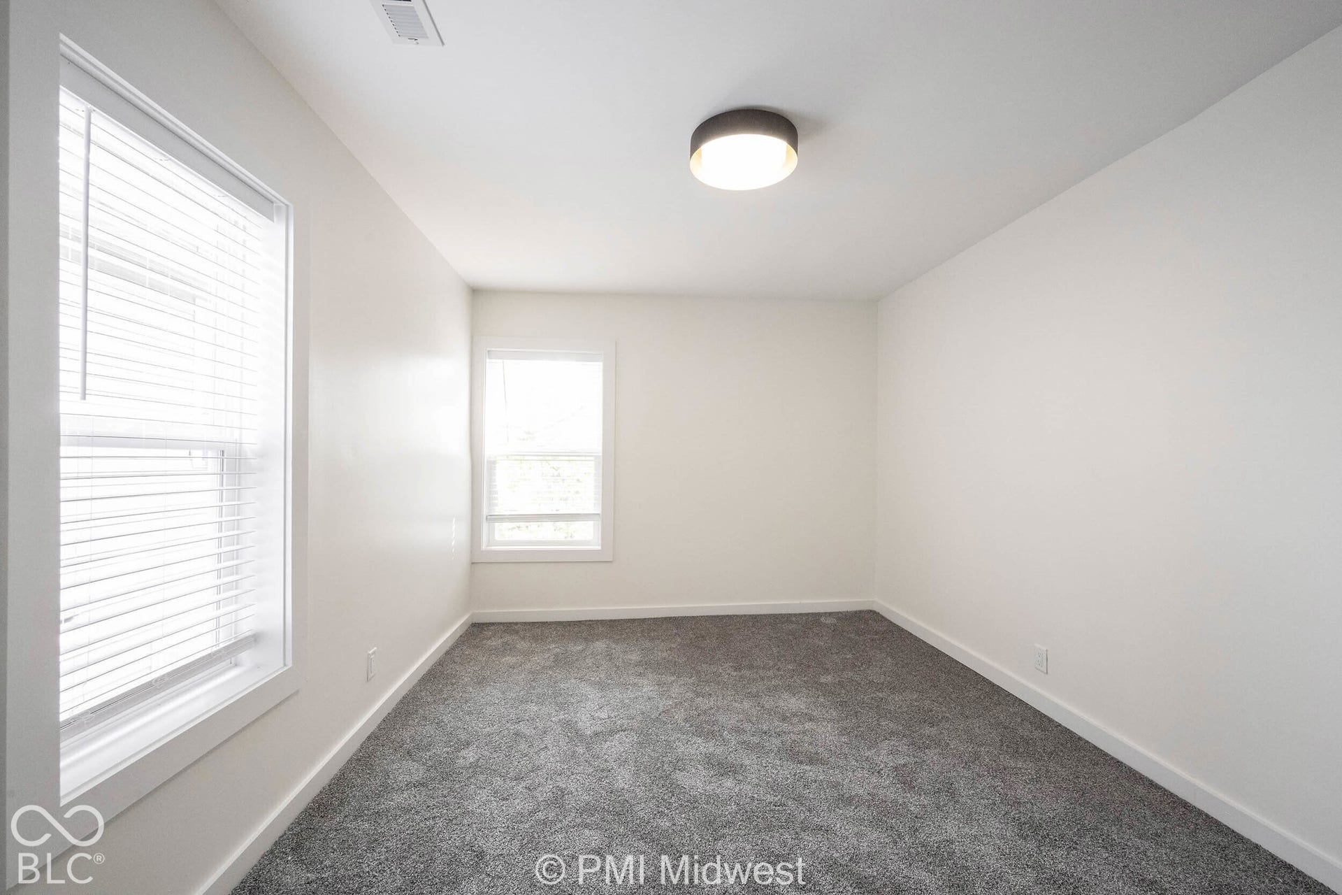 Neutral wall color with two windows, gray carpeting, and a flush-mount ceiling light